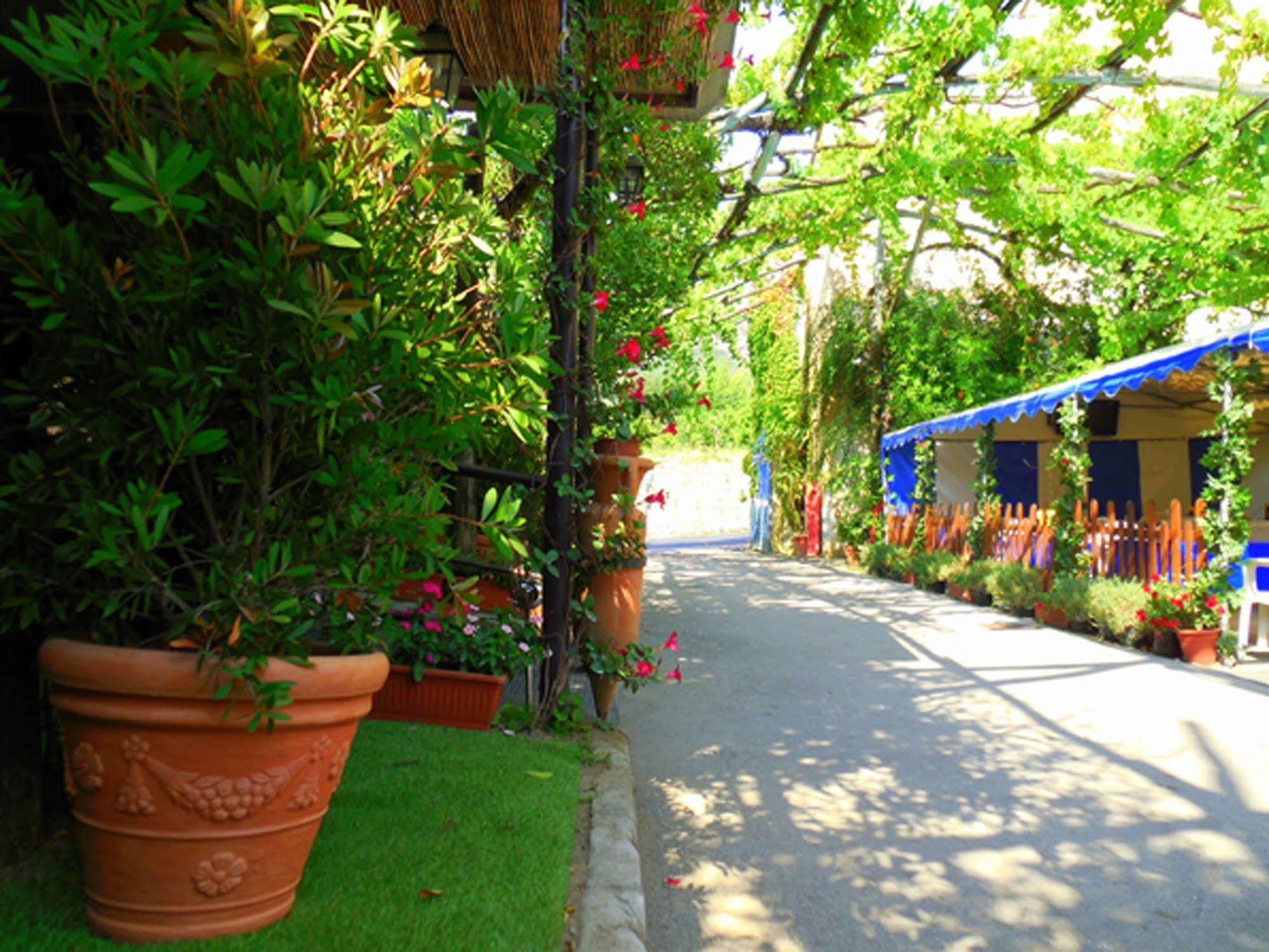 Hotel Fiori D'Arancio Piano di Sorrento Exterior foto